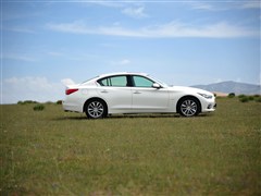 Ӣ,ӢQ50,2014 2.0T ,ʵͼƬ