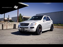 2012�� ML 350 ������