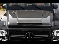 2013款 G 65 AMG