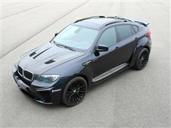 M,X6 M,2010 X6 M,װʵͼƬ