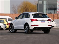 2013�� 45 TFSI quattro �˶���