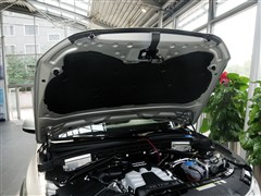 �µ�(����),�µ�Q5(����),2013�� 45 TFSI quattro ԽҰ��,����ϸ��ʵ��ͼƬ