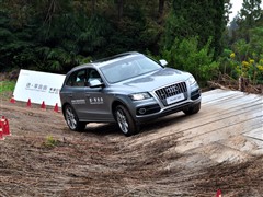 �µ�(����),�µ�Q5(����),2010�� 2.0TFSI �˶���,����ʵ��ͼƬ