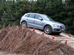 2010�� 2.0TFSI �˶���