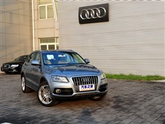 µ(),µQ5(),2010 2.0TFSI ˶,ʵͼƬ