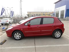 ,307,2012  1.6L Զʰ,ʵͼƬ
