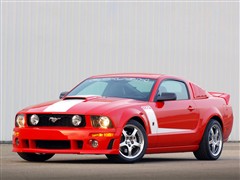 (),Ұ,2012 GT500 ֶ,װʵͼƬ