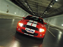 2012 GT500 ֶ