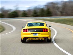 ����(����),Ұ��,2015�� 2.3T ���ܰ�,�������ʵ��ͼƬ