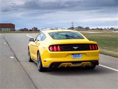����(����),Ұ��,2015�� 2.3T ���ܰ�,�������ʵ��ͼƬ