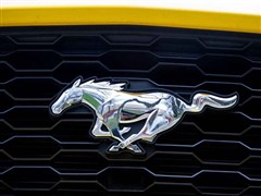 2015�� 2.3T ���ܰ�