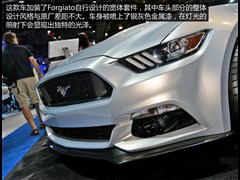 2015�� 2.3T ���ܰ�
