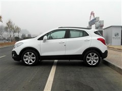 2015 1.4T ֶ˶