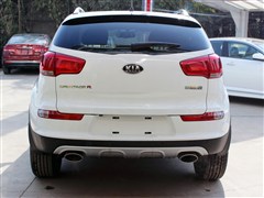 2015�� 2.0L �Զ�������Premium