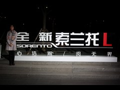 2015�� ������L 2.2T ����4WD��׼�� 7��