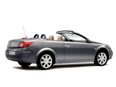 ŵ,÷,2006 CC 2.0,ʵͼƬ