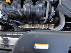 2009�� 1.6L MT GLS